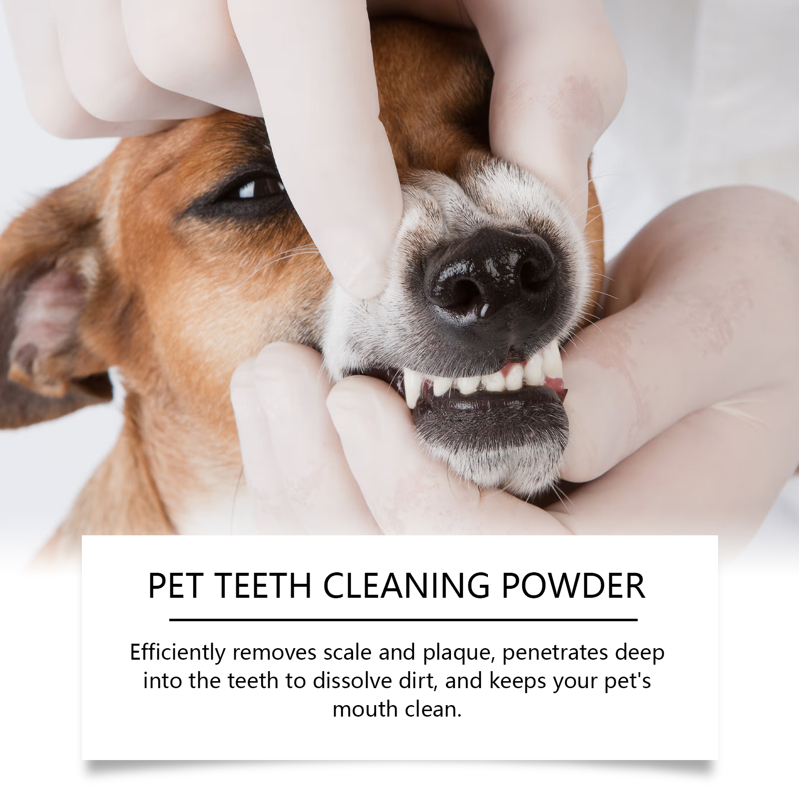 Pet Teeth Cleaning Powder Redu - Teeth Whitening Singapore 리뷰 및 가격